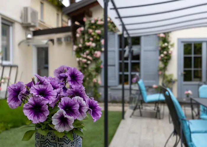 Maji マンデッロ・デル・ラーリオ