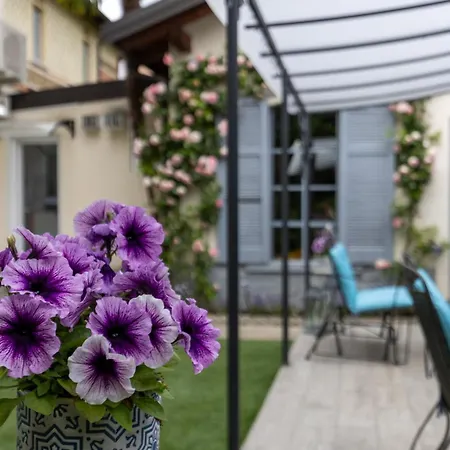 Maji - Historic With Pool, Garden And Private Parking Mandello del Lario